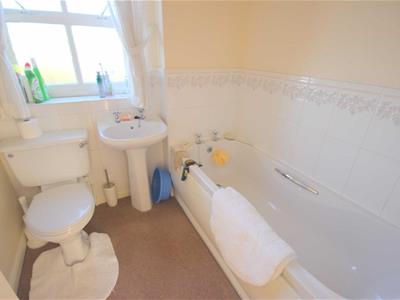 Picture 7